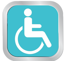 handi moteur 1